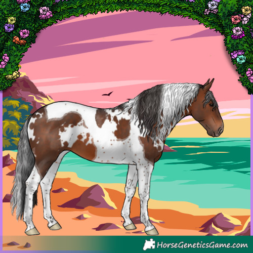 Horse Color:White Spotted Brown Tobiano 