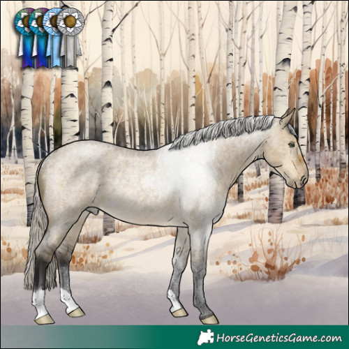 Horse Color:Silver Buckskin Roan Dun Rabicano 