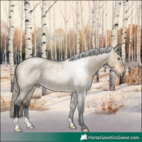 Horse Color:Silver Buckskin Roan Dun Rabicano