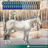 Horse Color:Silver Buckskin Roan Dun Rabicano