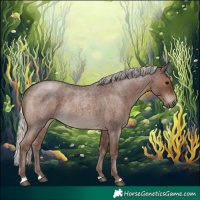 Horse Color:Silver Blue Roan Rabicano 