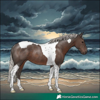 Horse Color:Silver Black Tobiano Rabicano