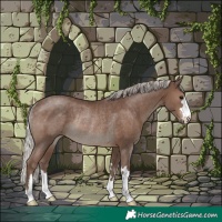 Horse Color:Silver Black Rabicano 