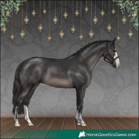 Horse Color:Smoky Black 