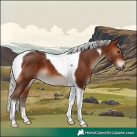 Horse Color:Silver Brown Tobiano 