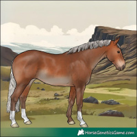 Horse Color:Silver Bay 
