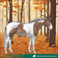 Horse Color:Silver Black Tobiano