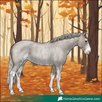 Horse Color:Silver Grullo Roan Sabino