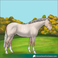 Horse Color:Silver Sable Champagne Roan Dun Brindle