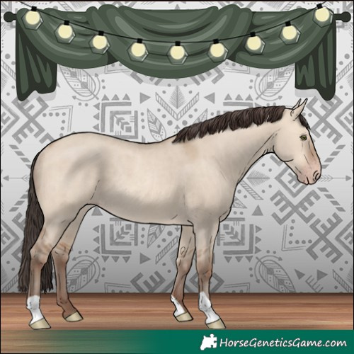 Horse Color:Amber Champagne Dun Rabicano 