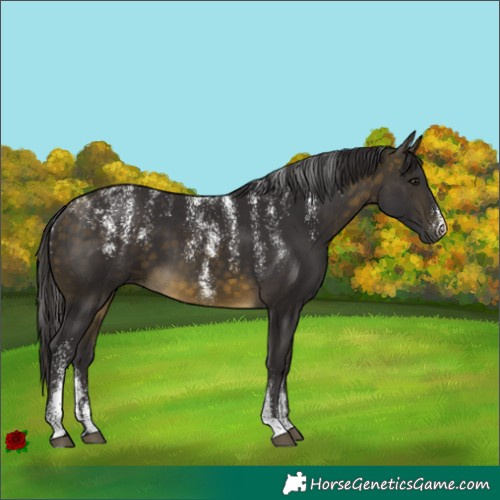 Horse Color:Powder White Buckskin 