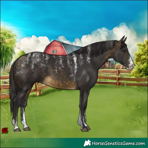 Horse Color:Powder White Buckskin