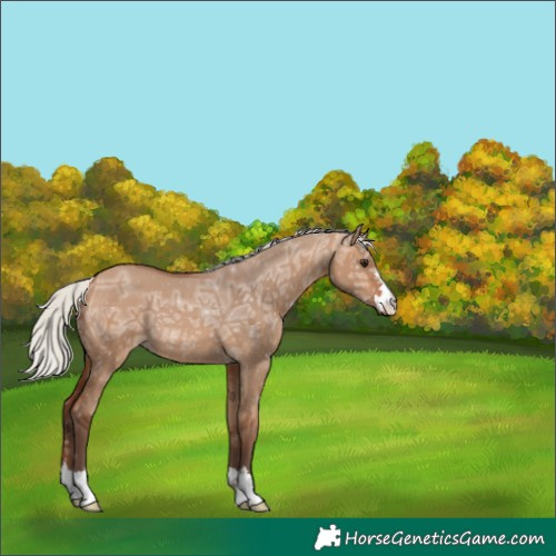 Horse Color:Silver Bay Ice Dun 