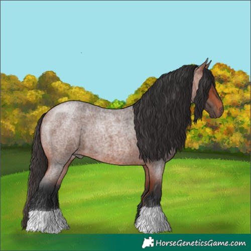 Horse Color:Bay Roan 