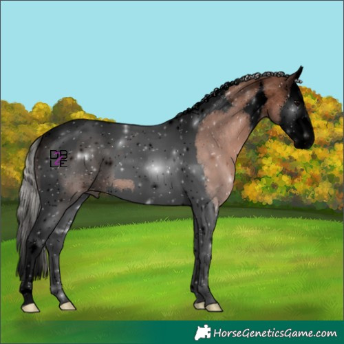 Horse Color:Void Silver Black Splash Tobiano 