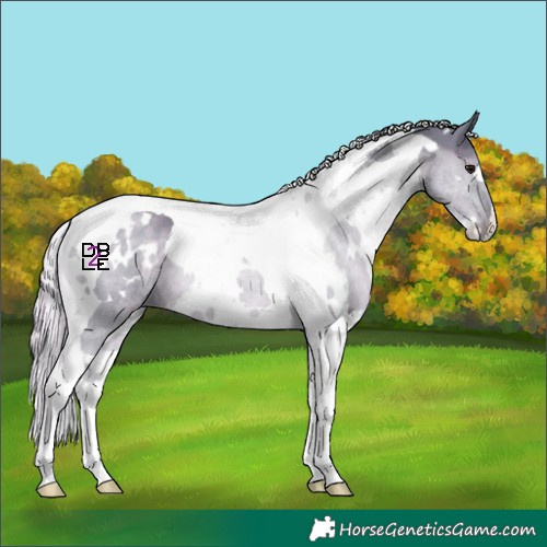 Horse Color:Watercolor White Spotted Silver Black Tobiano 