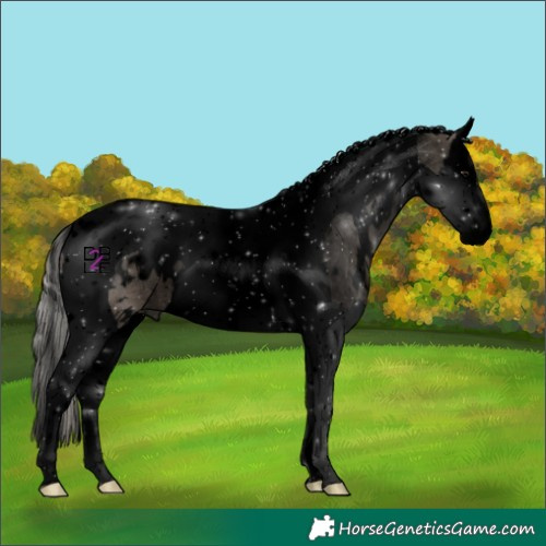 Horse Color:Void White Spotted Silver Grullo Splash Tobiano 