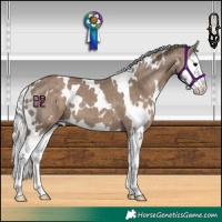 Horse Color:White Spotted Silver Grullo Splash