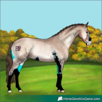 Horse Color:Liver Red Onyx Roan Pearl Sabino Rabicano 