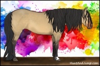 Horse Color:Bay Dun