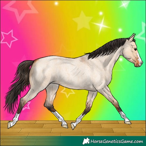 Horse Color:Bay Roan Dun 