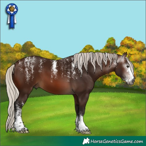 Horse Color:Powder White Gray Silver Bay