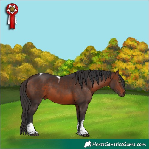 Horse Color:Brown Sabino Tobiano 