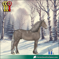 Horse Color:Powder White Silver Black Sabino
