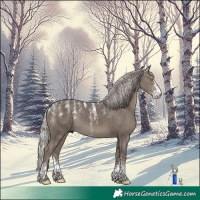 Horse Color:Powder White Silver Black Sabino