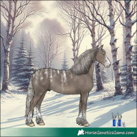 Horse Color:Powder White Silver Black Sabino