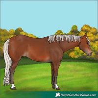 Horse Color:Silver Brown