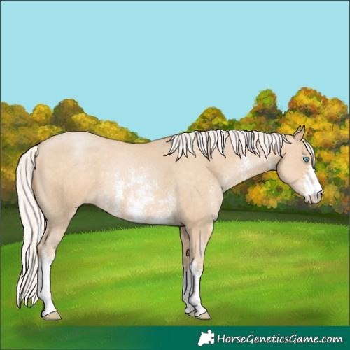 Horse Color:Silver Smoky Black Pearl Sabino 