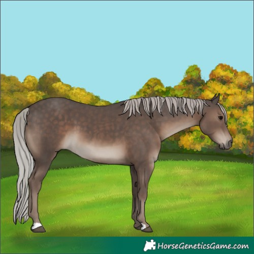 Horse Color:Silver Black 