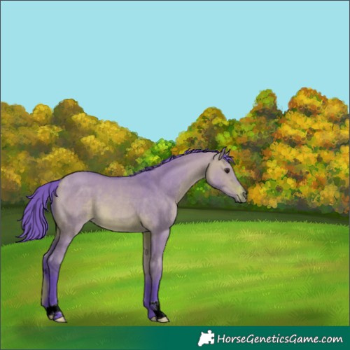 Horse Color:Watercolor Bay Dun