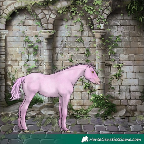 Horse Color:Watercolor Gold Champagne Roan 
