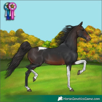 Horse Color:Brown Tobiano Skewed LP Spotted 
