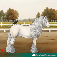 Horse Color:Palomino Pearl