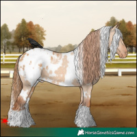 Horse Color:White Spotted Red Dun Blanket