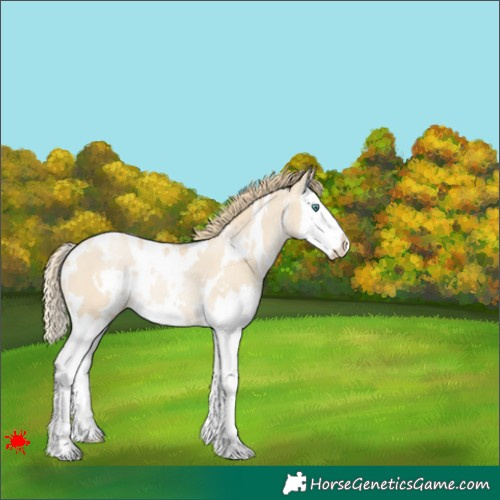 Horse Color:White Spotted Smoky Black Pearl Splash Rabicano 