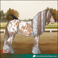 Horse Color:White Spotted Red Dun Blanket 
