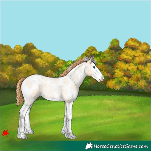 Horse Color:White Spotted Buckskin Roan Pearl Splash