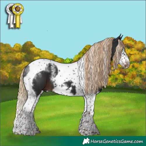 Horse Color:Powder White Liver Chestnut Splash Tobiano Frame 