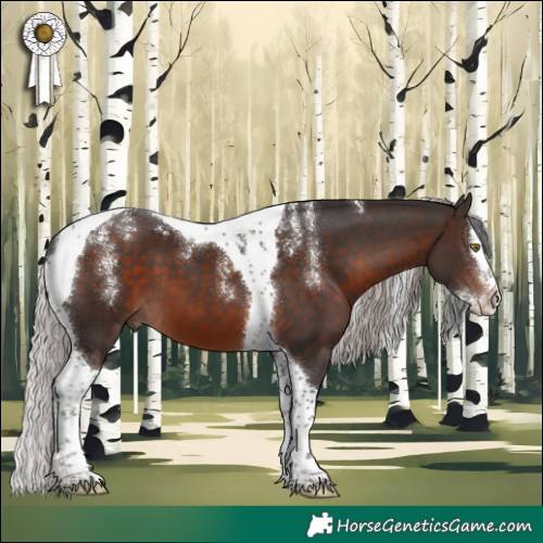 Horse Color:Powder White Silver Brown Splash Tobiano 