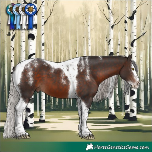 Horse Color:Powder White Silver Brown Splash Tobiano 