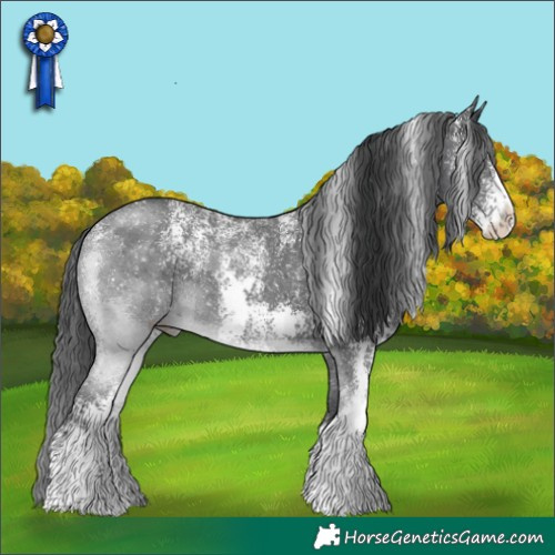 Horse Color:Powder White Black Sabino 