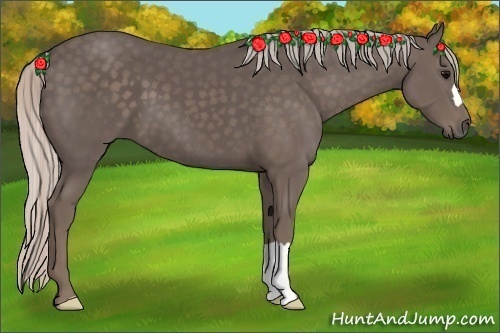 Horse Color:Silver Black