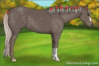 Horse Color:Silver Black 