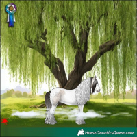 Horse Color:Gray Bay Roan Dun Splash Tobiano Varnish 