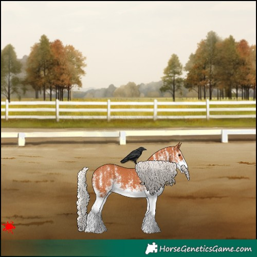 Horse Color:White Spotted Silver Bay 