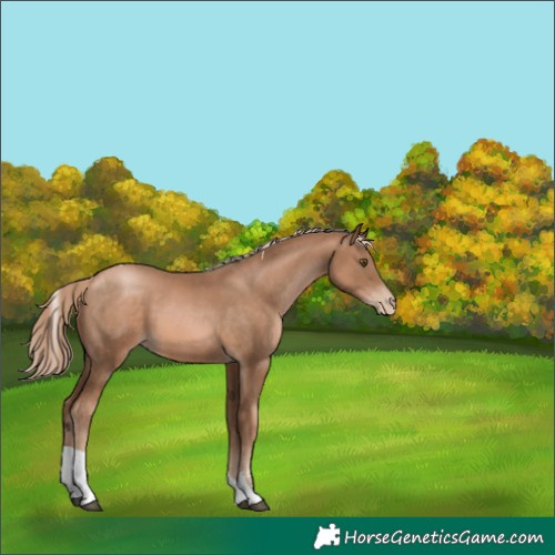 Horse Color:Liver Chestnut Pearl Tobiano 
